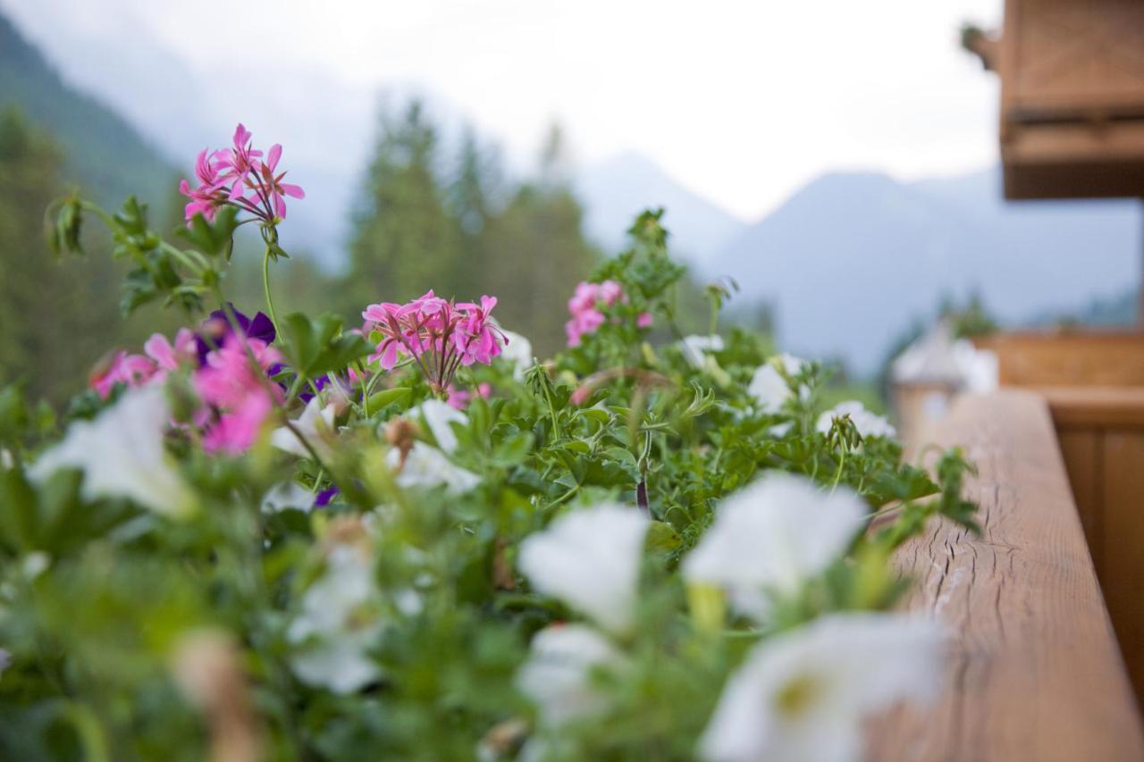 Hotel Chalet Del Brenta Madonna Exterior foto